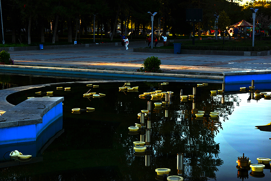 DSC_8733-1.jpg