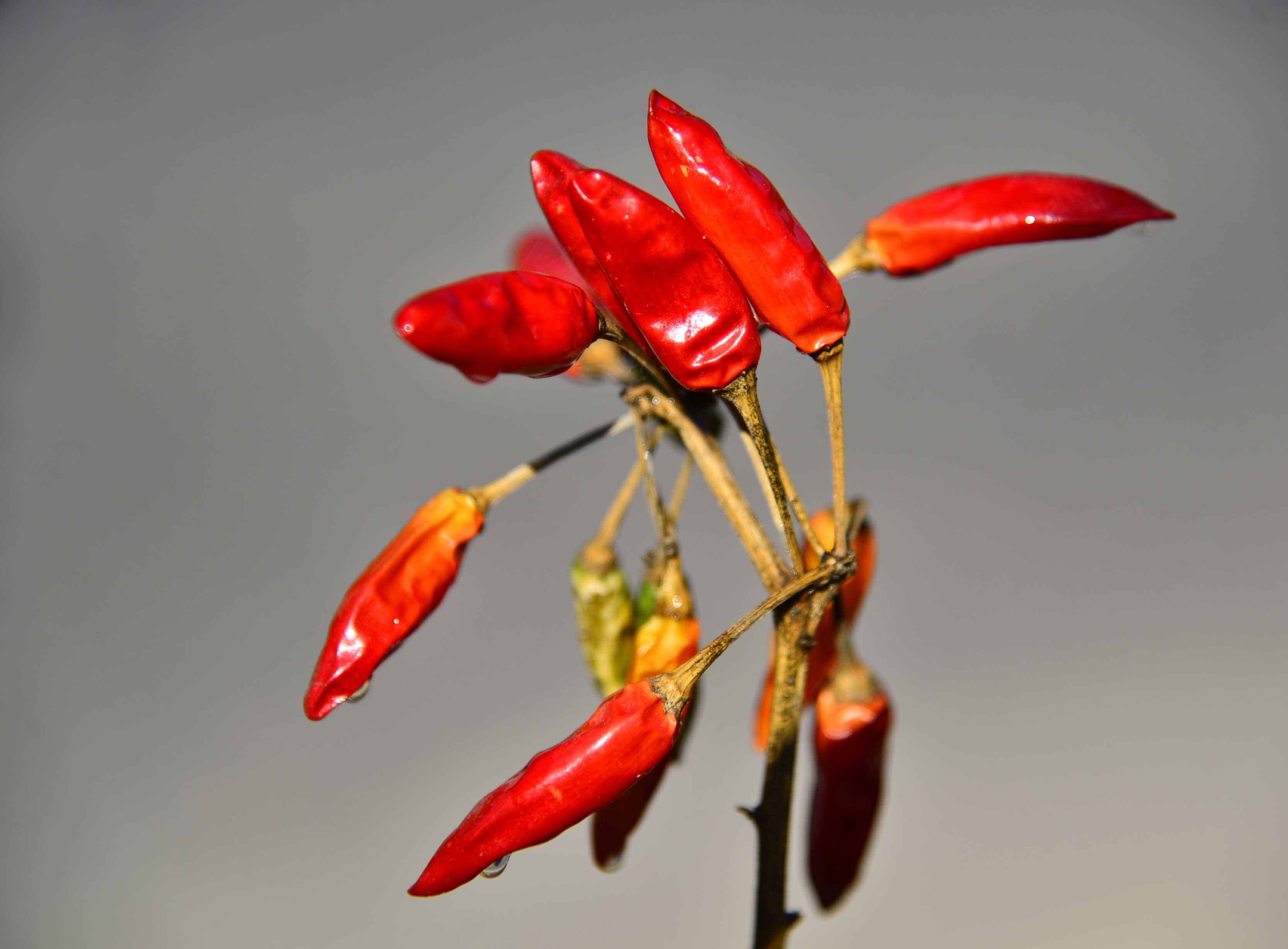 ǰķ-4.jpg