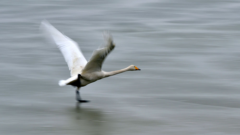DSC_5395.JPG