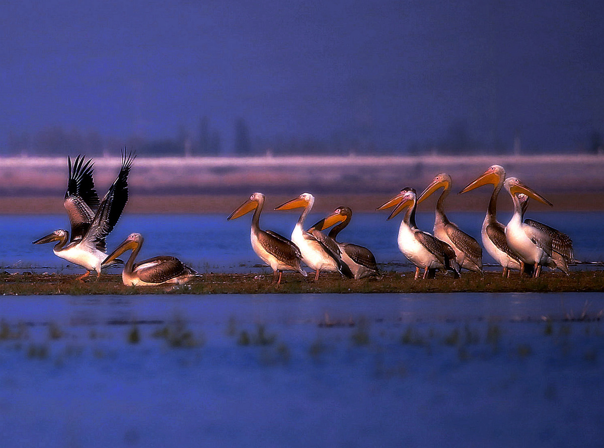 ����  ���Ƚ� (������).jpg