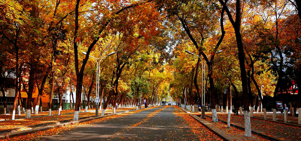 ʯ����ɫ    ���Ƚ�  (¡����).jpg