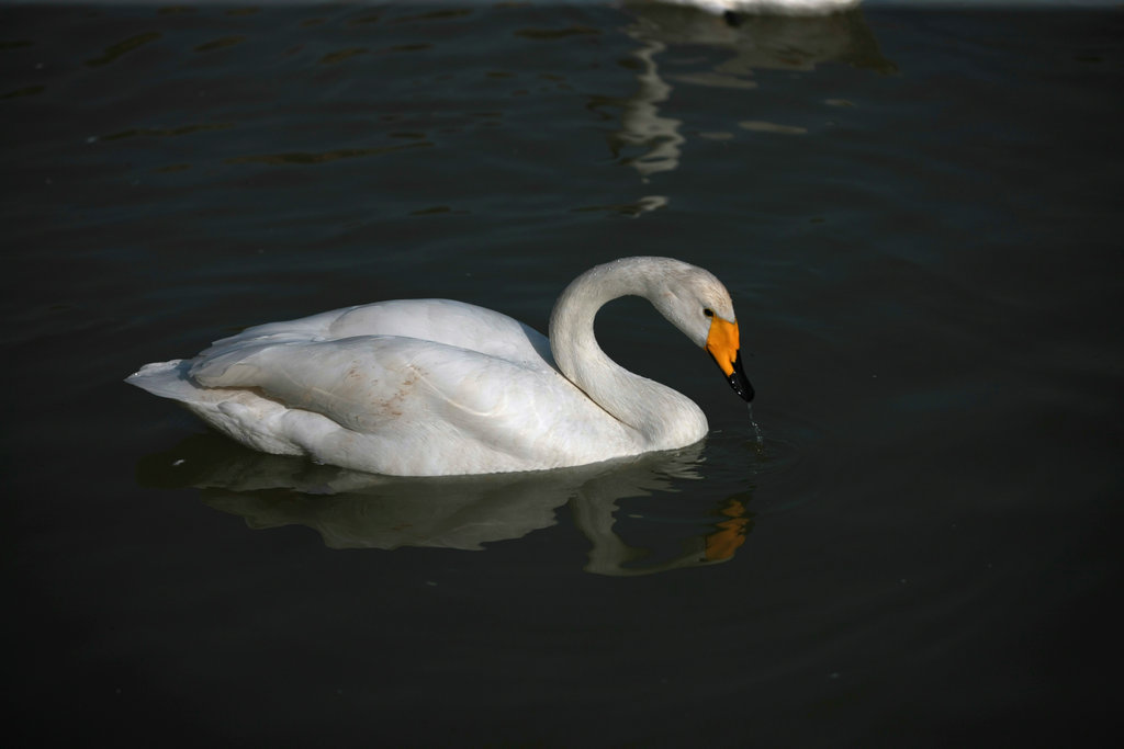 5C9J7981.jpg