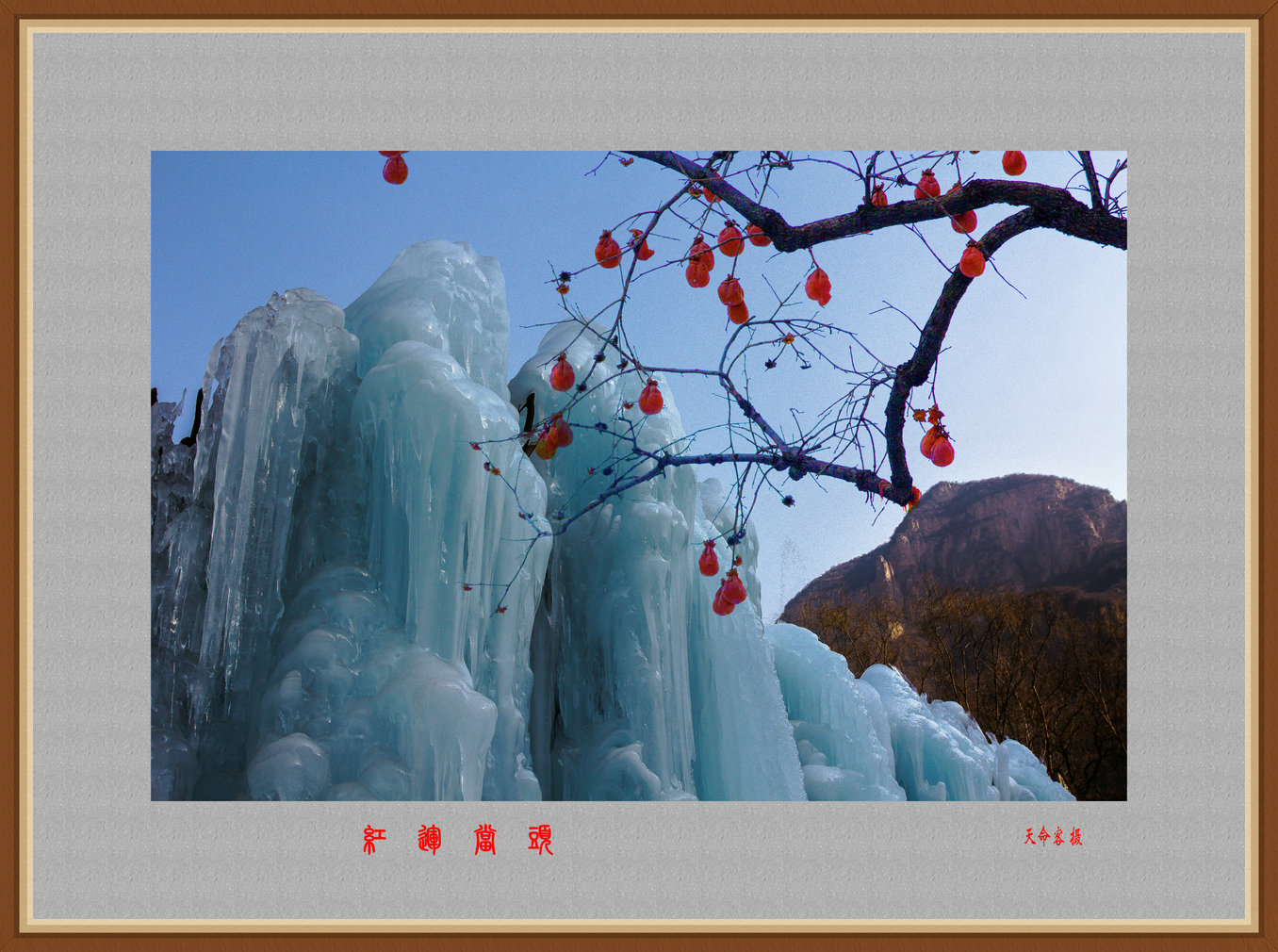 IMG_6368aa.jpg