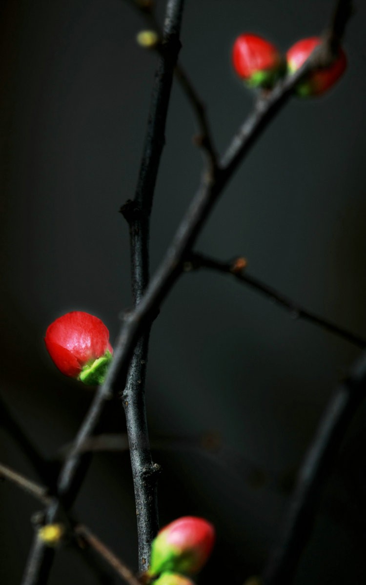 5C9J7256.jpg
