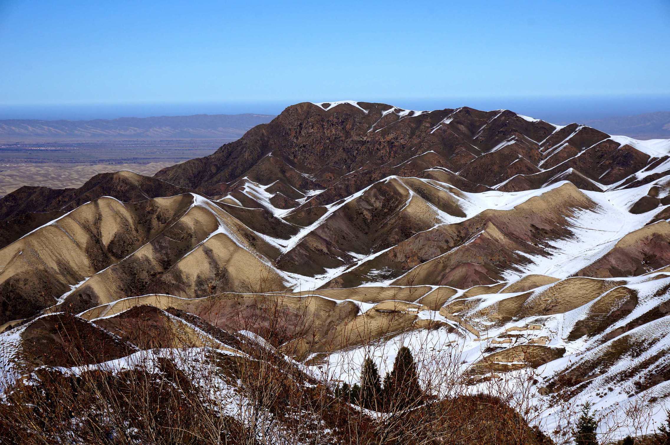 DSC01385___.jpg