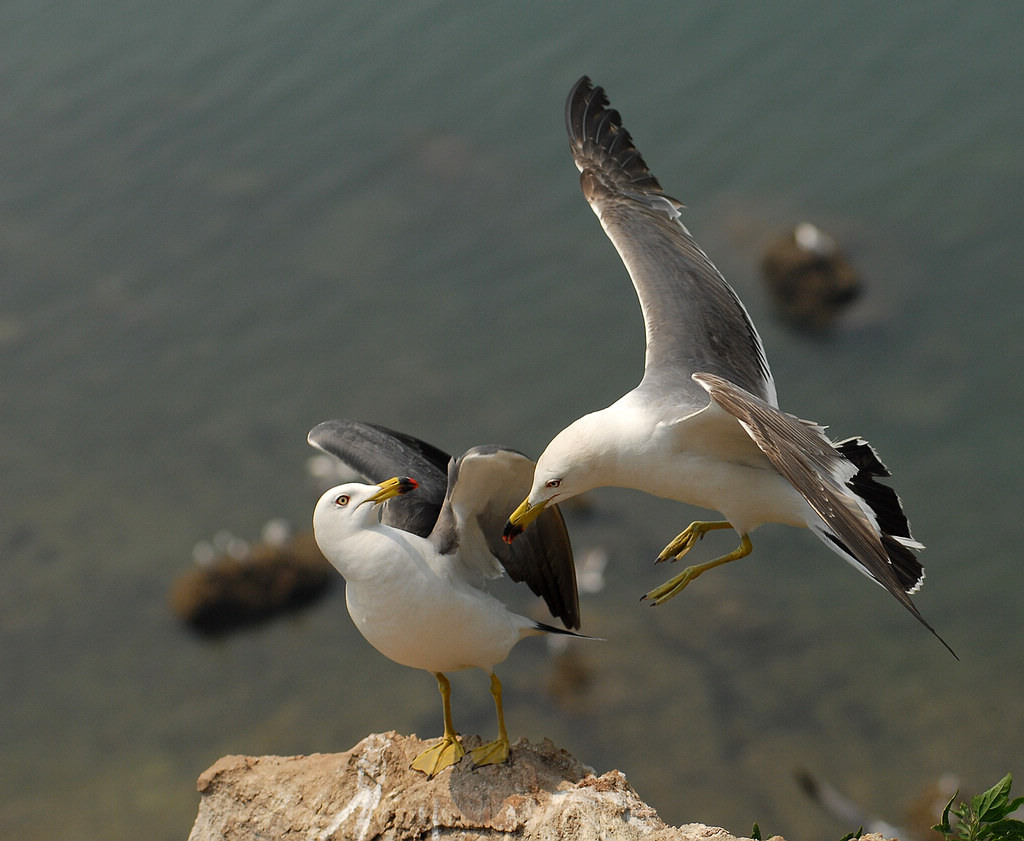 DSC_0143   5.jpg