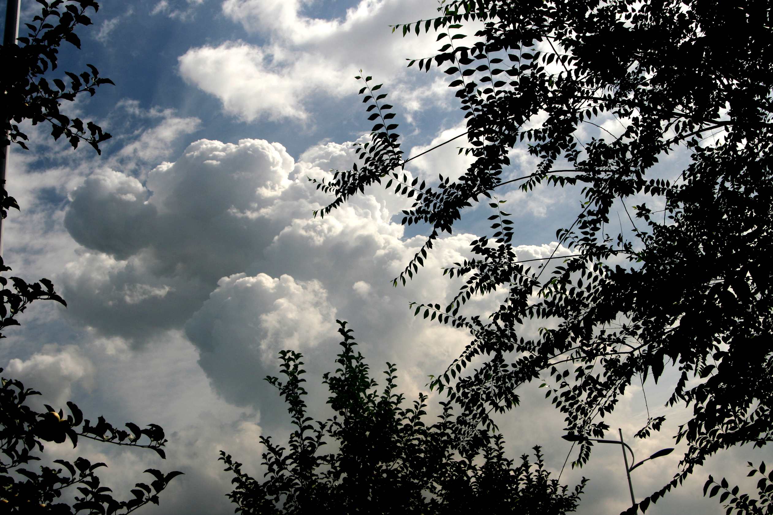 2014.7.20 001 (1)_2.jpg