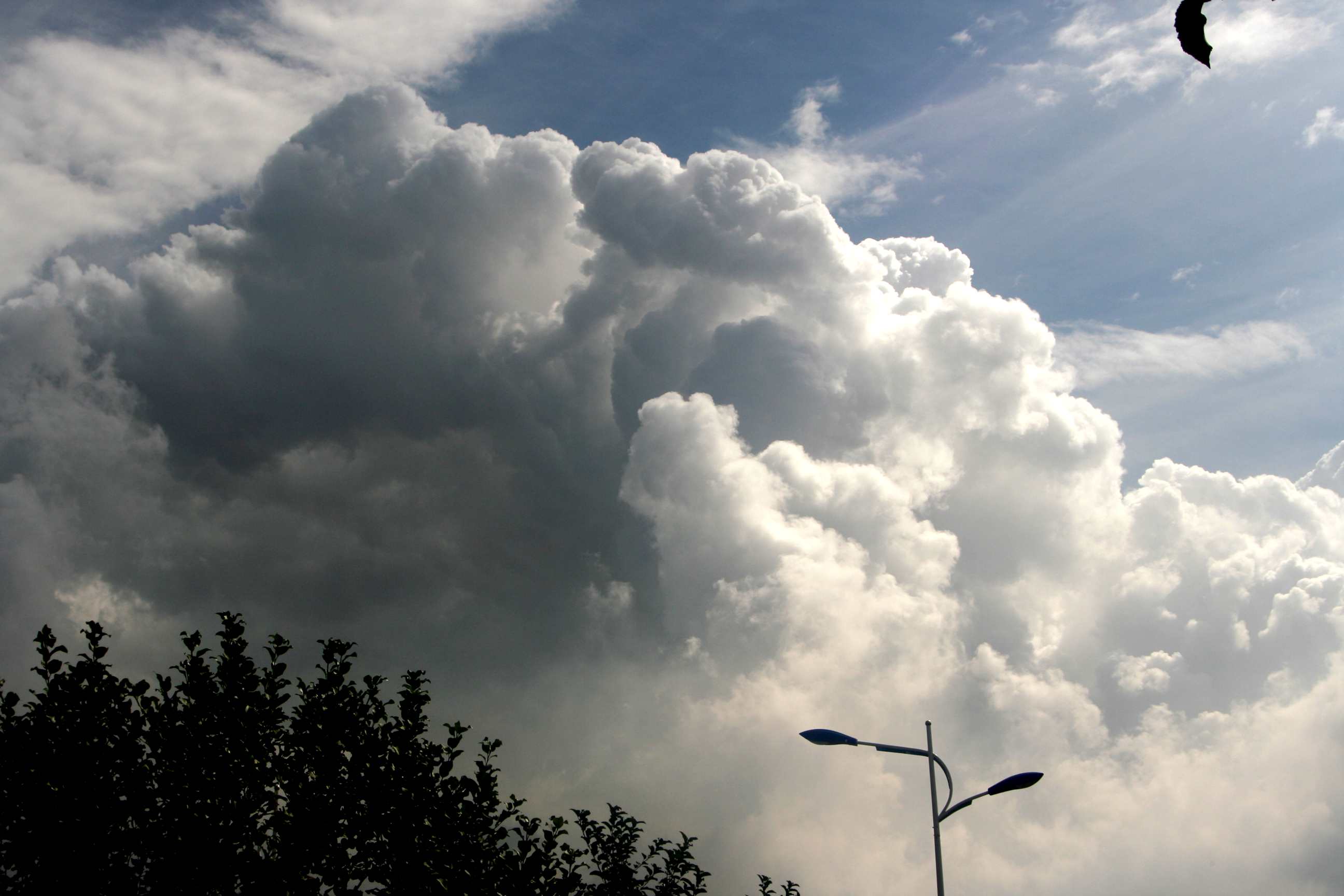2014.7.20 001 (3)_12.jpg