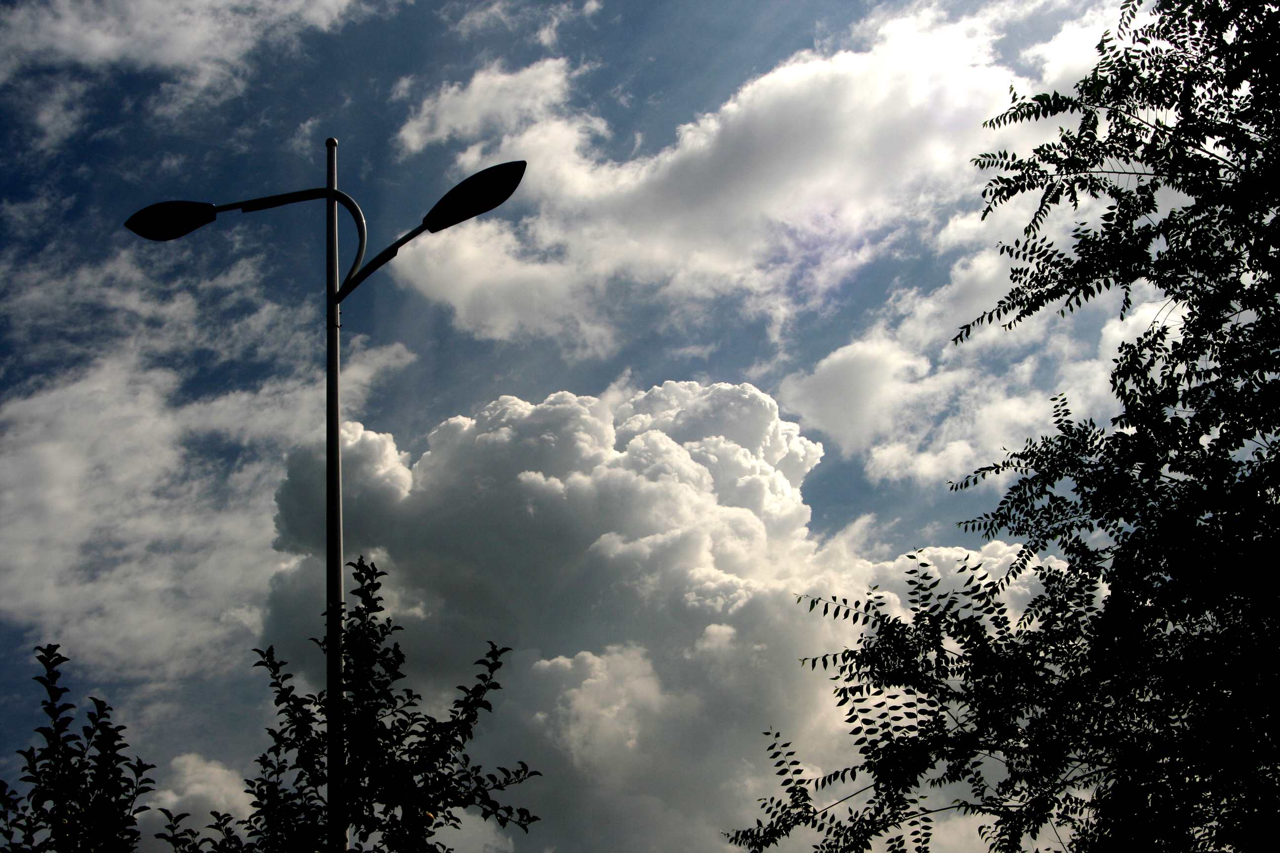 2014.7.20 001_1.jpg