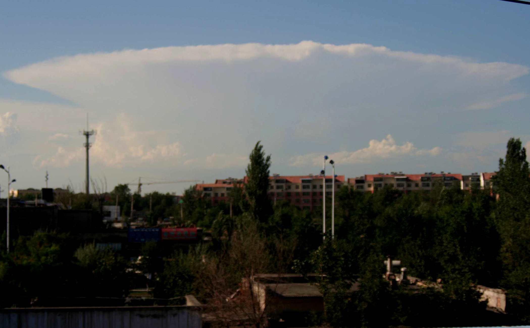 IMG_9598__.jpg