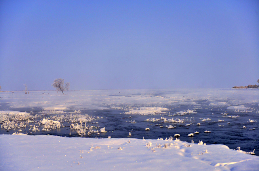 _DSC0959.jpg