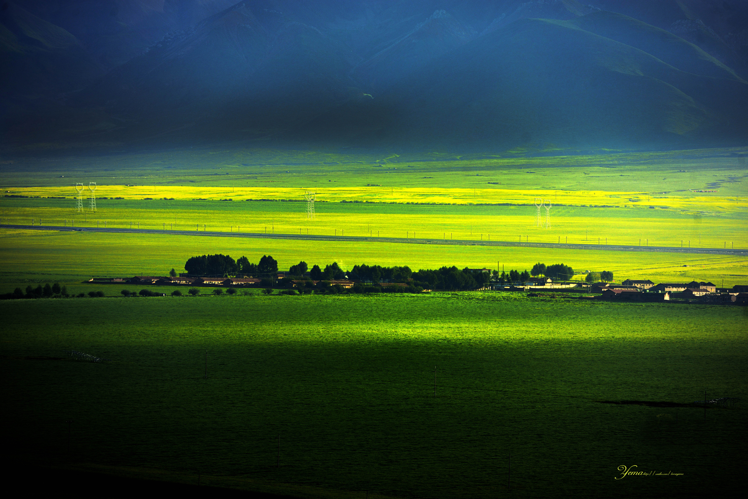 DSC_0728.jpg