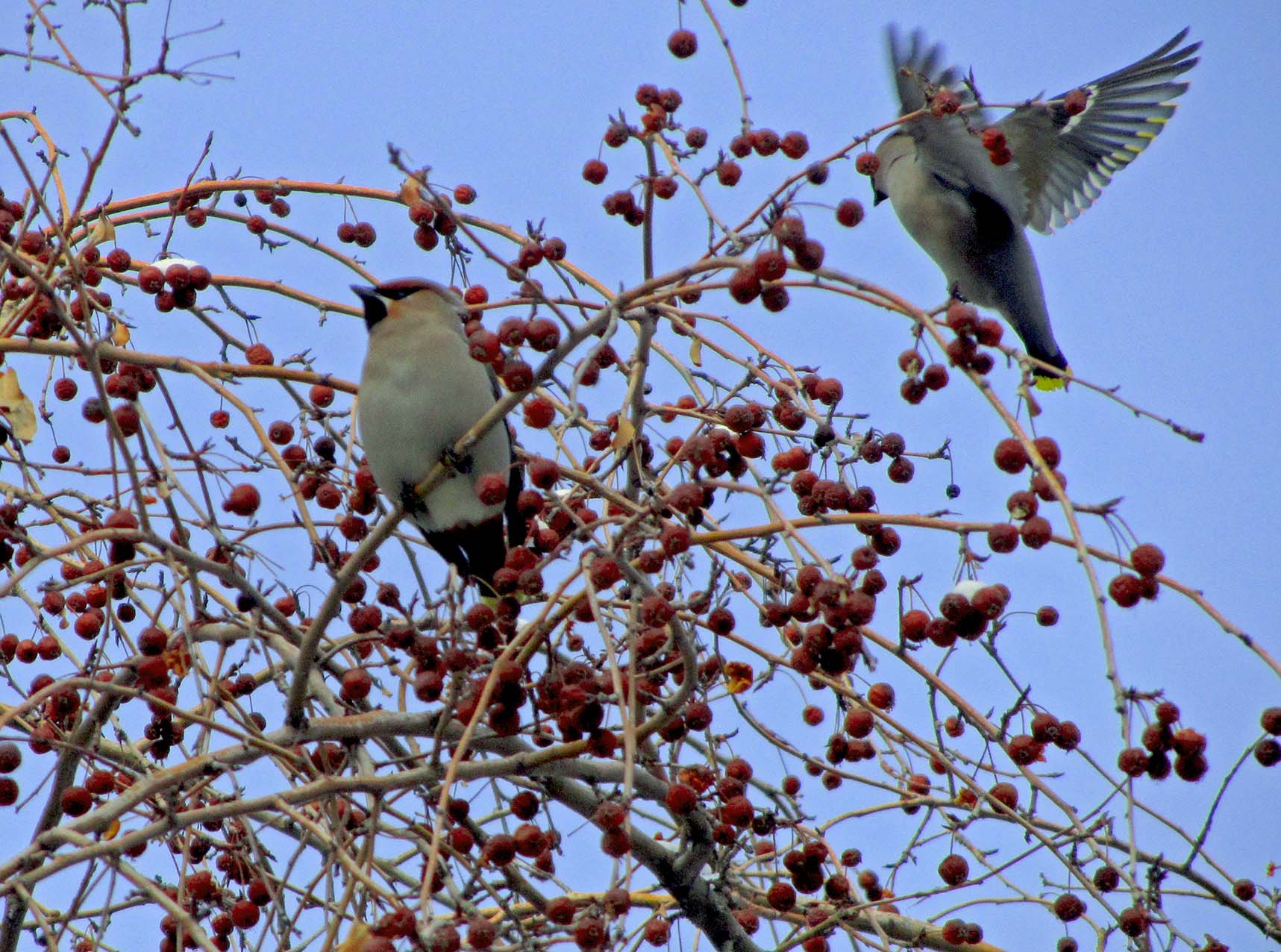 IMG_4276.jpg