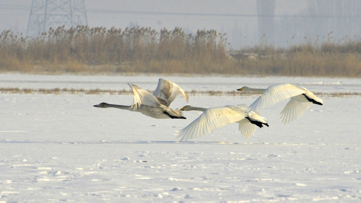 nEO_IMG__DSC0181.jpg