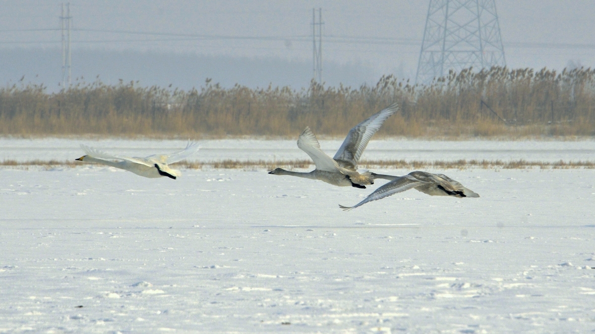 nEO_IMG__DSC0183.jpg