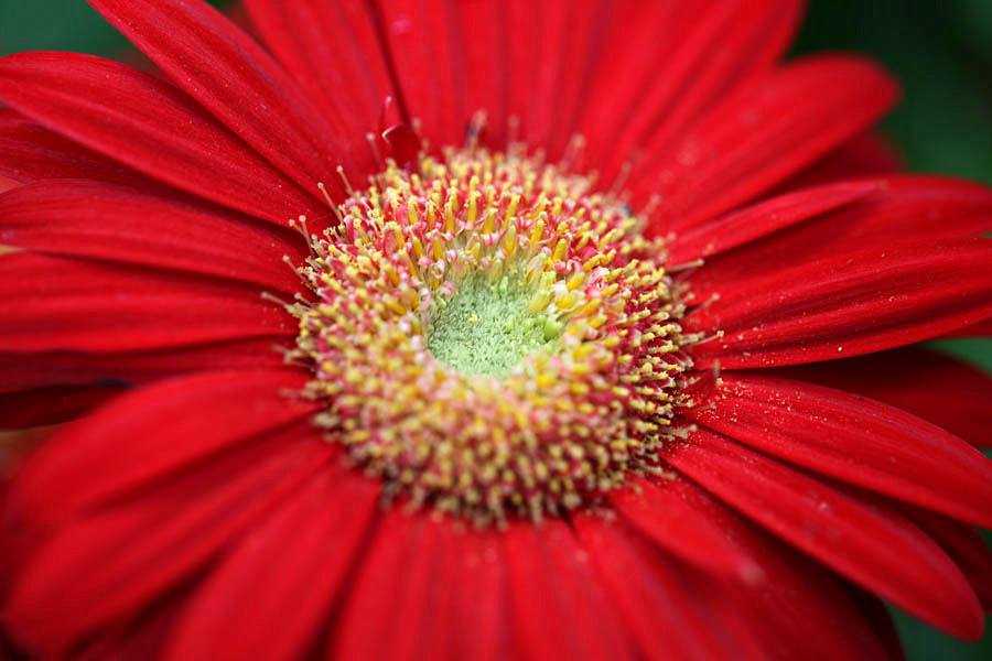 IMG_1081_.jpg