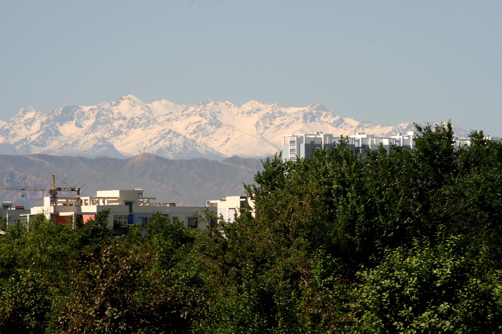 IMG_9457_.jpg
