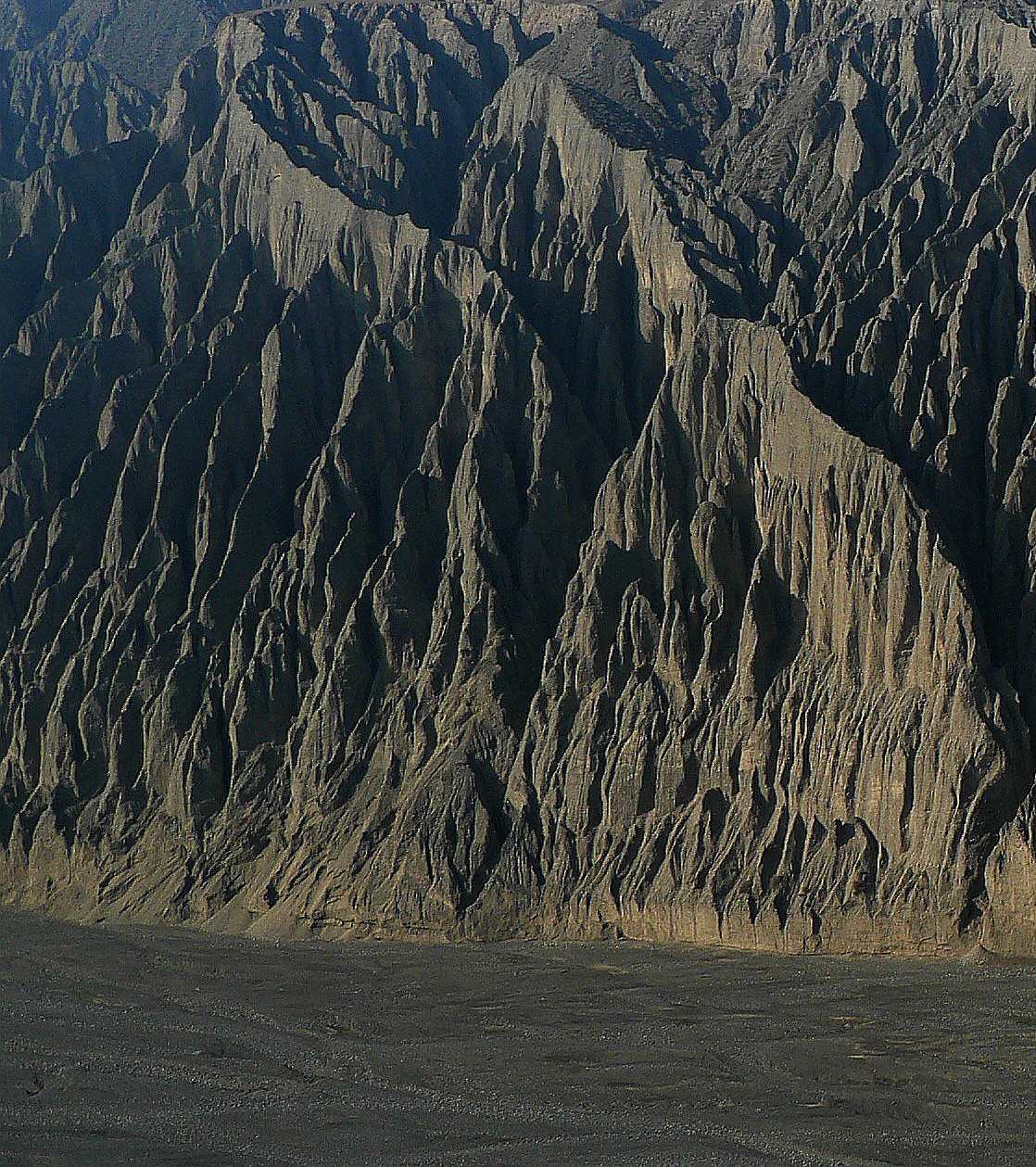 P1100768_1.jpg