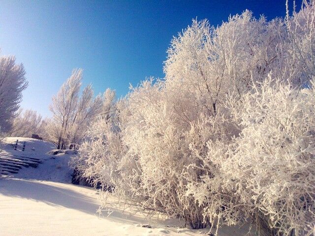 QQͼƬ20150209213353.jpg