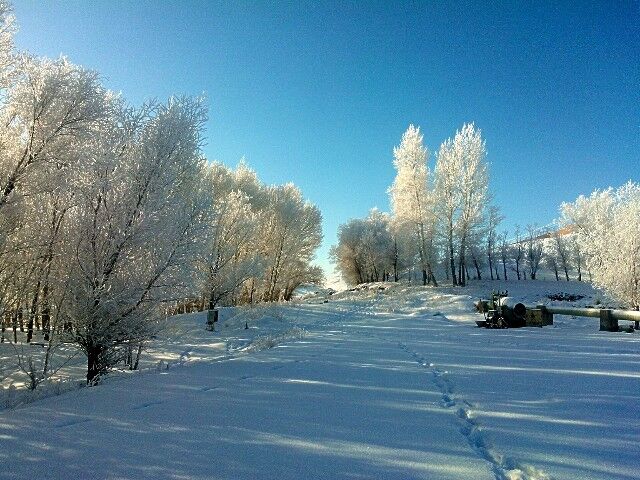 QQͼƬ20150209213738.jpg