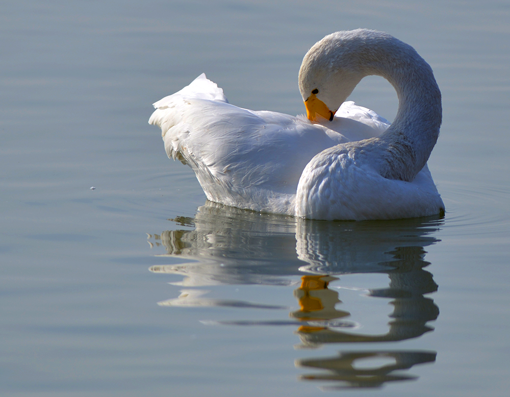 DSC_5488.JPG