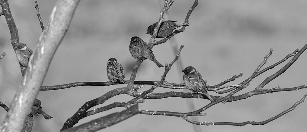 2015216 a0421.jpg