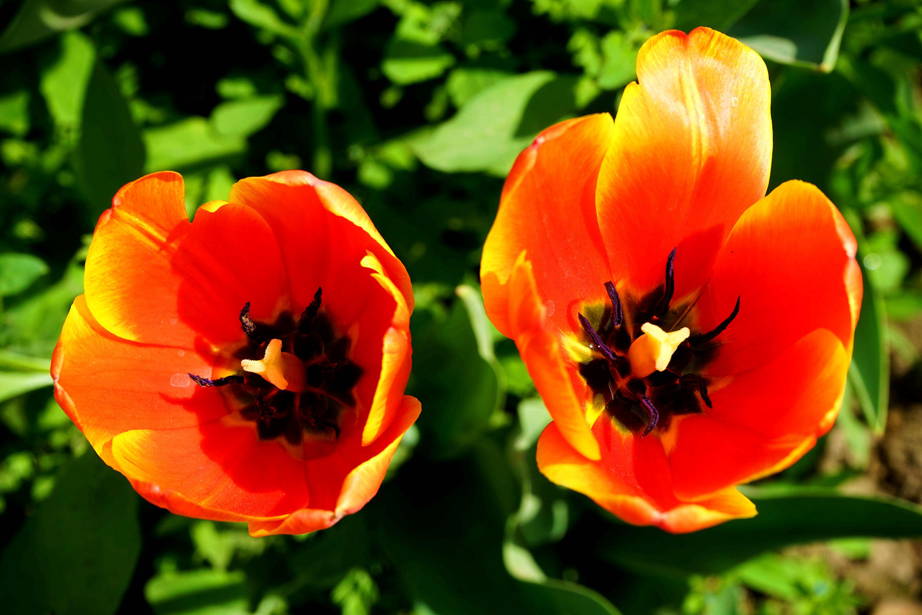 DSC01829__.jpg