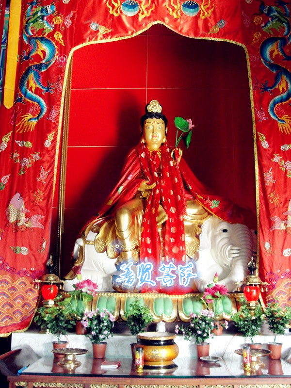 dsc04537__.jpg