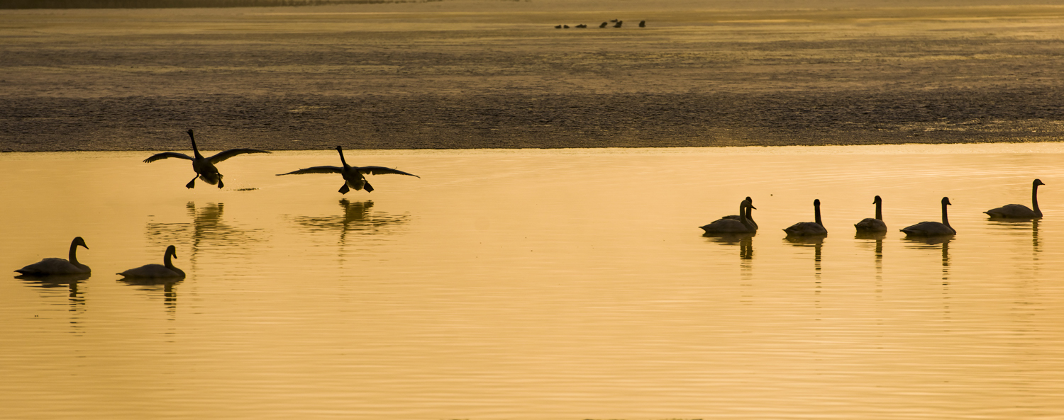 _DSC1545.JPG