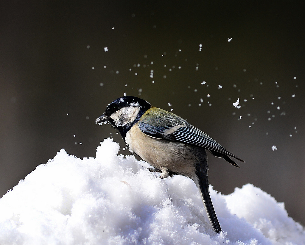 DSC_9148.jpg