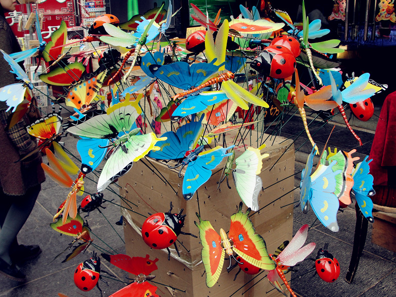 dsc05240_.jpg