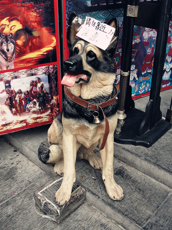 dsc05241_.jpg