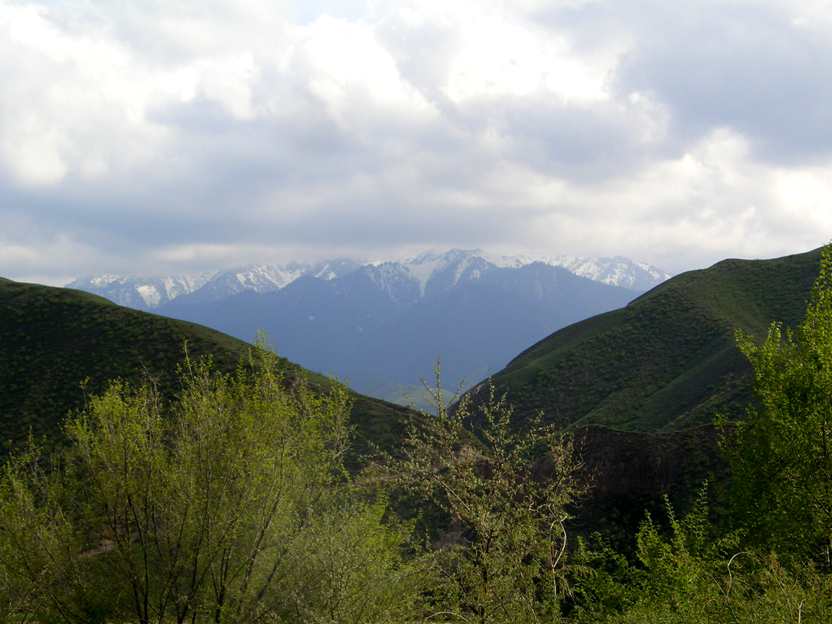 CIMG2637_.jpg