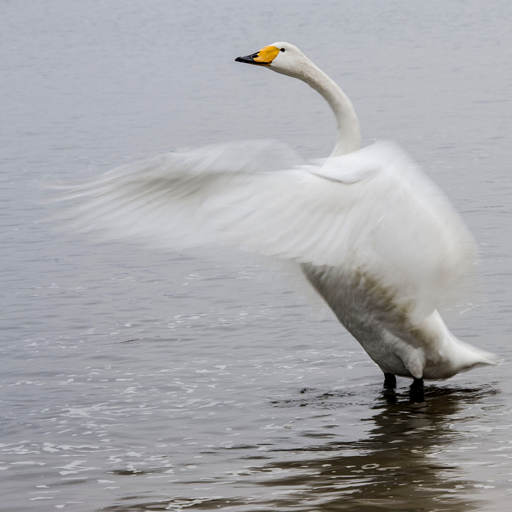 DSC_0280_1.jpg