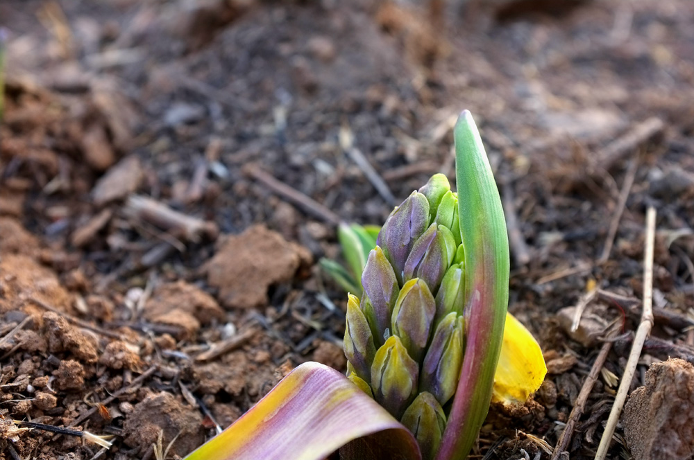 DSCF6289.JPG