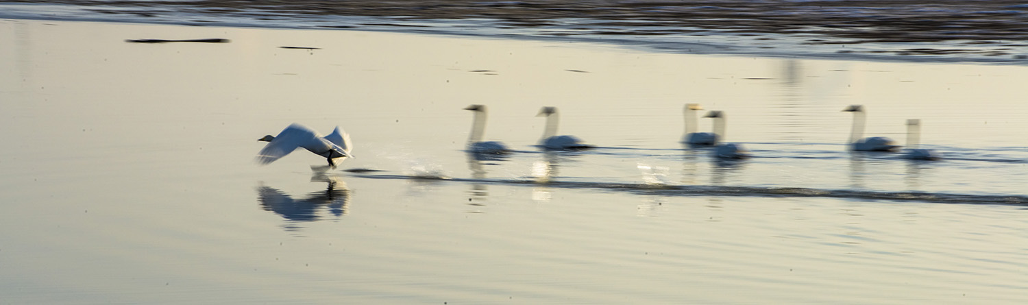 _DSC4651.JPG