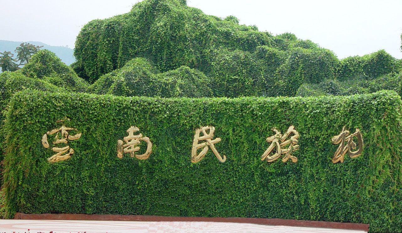 20140309155008_2343.jpg