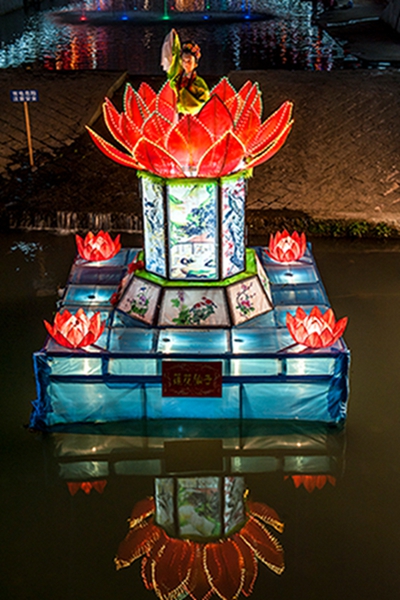 DSC_6269ab.jpg
