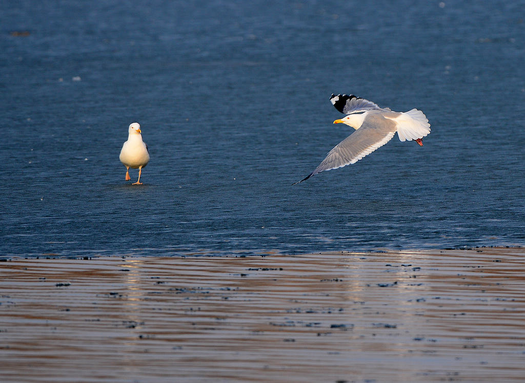 DSC_3627.jpg
