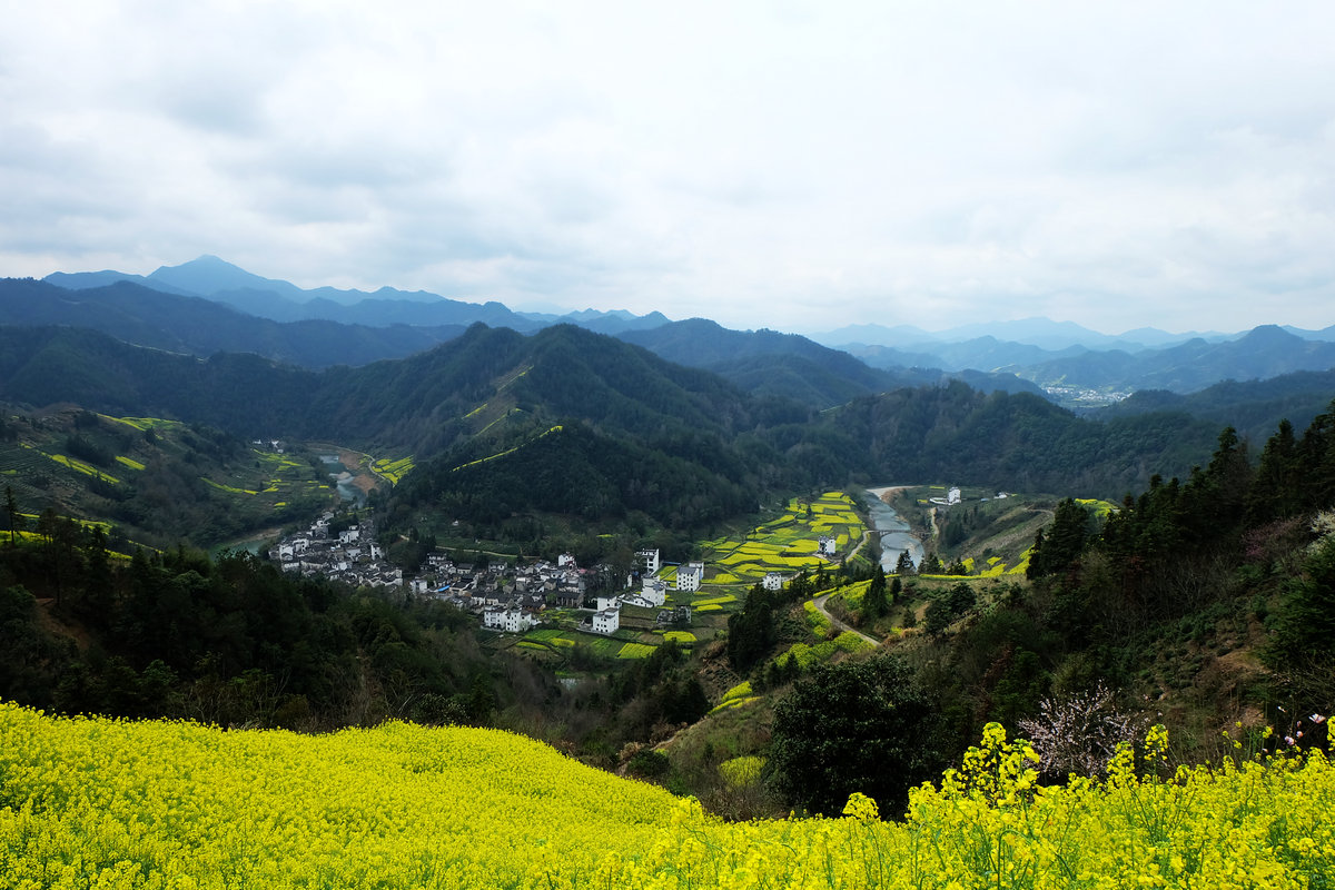 DSCF7784_1.JPG