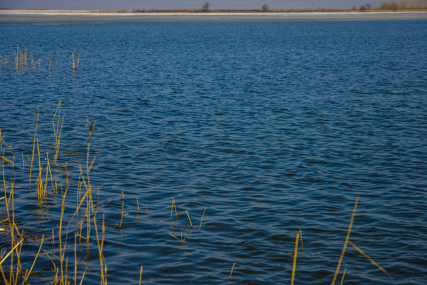 _DSC5586.JPG