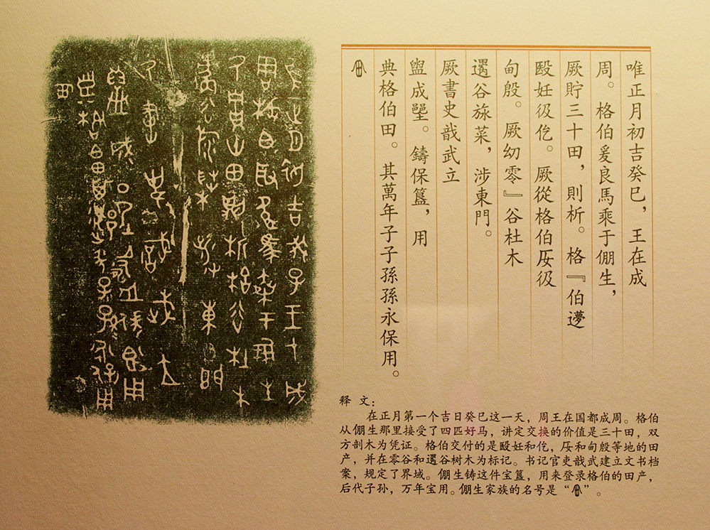 IMGL5909.jpg