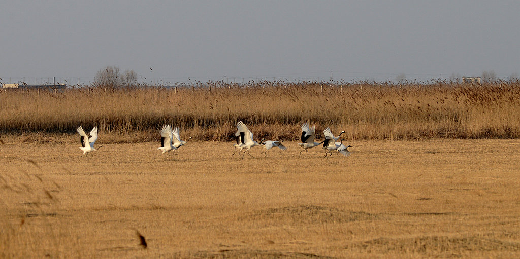 DSC_7377.jpg
