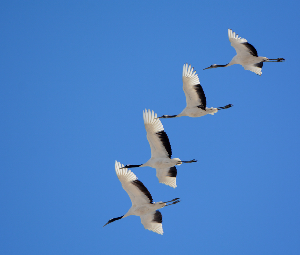 DSC_9422.jpg