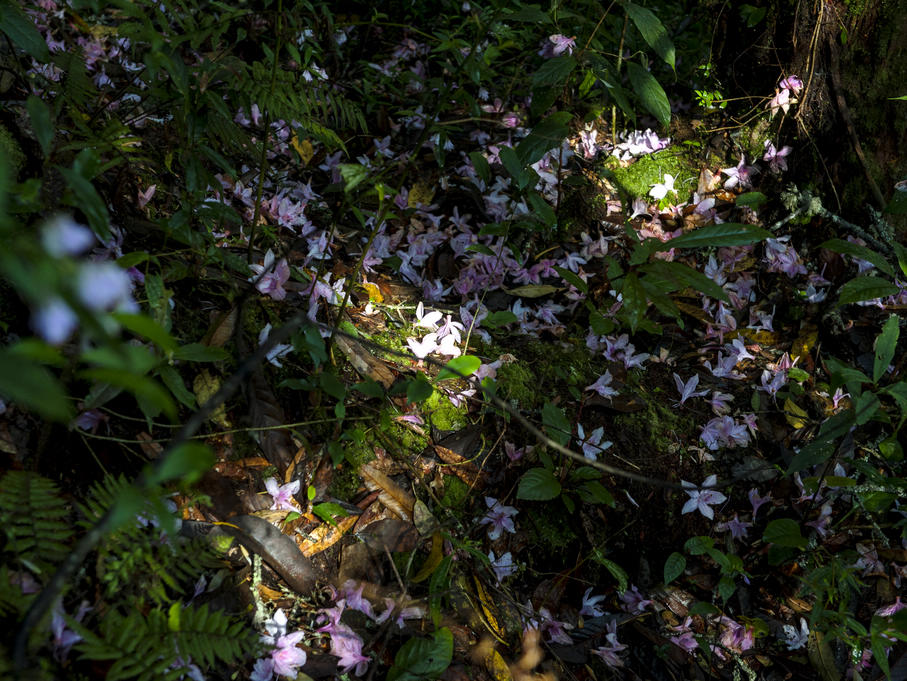 _DSC6585.jpg