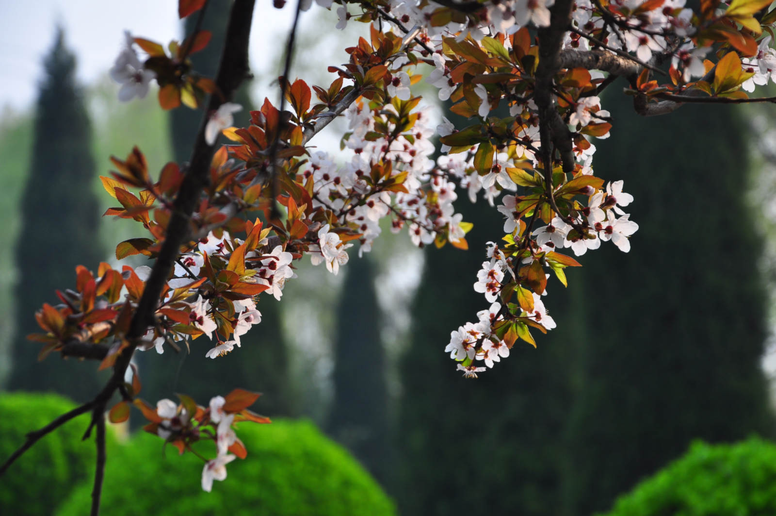 20150328Ӱ (85).jpg