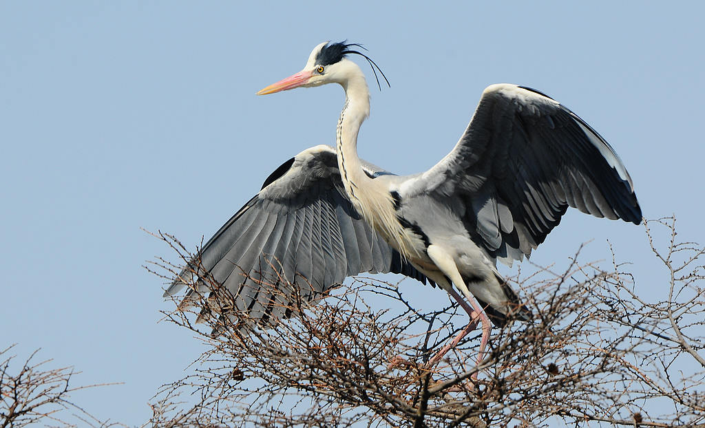 DSC_0473.jpg