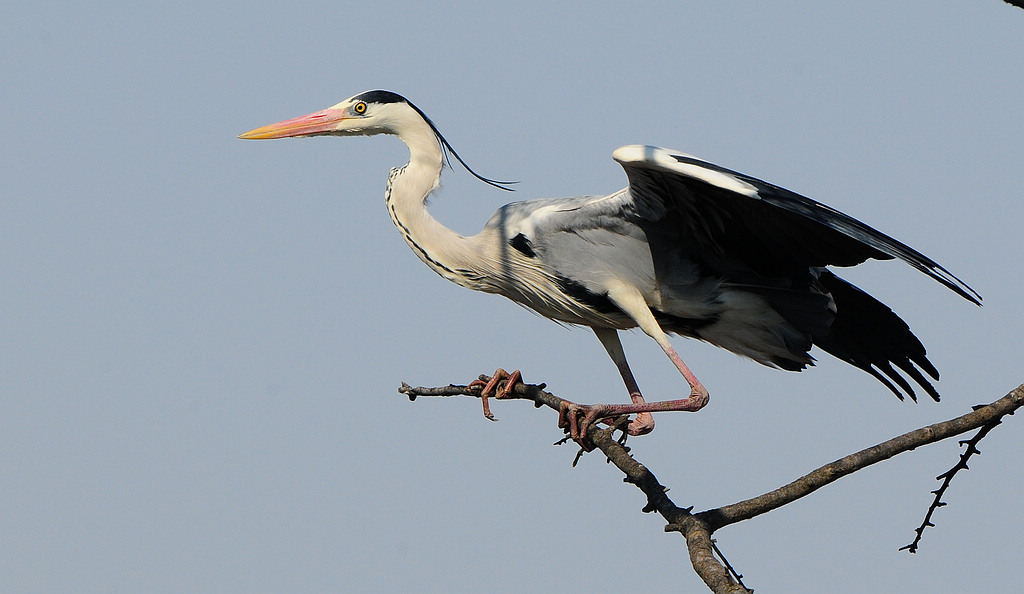 DSC_0563.jpg