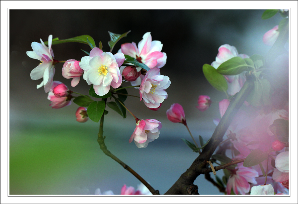 IMG_3880-2.jpg