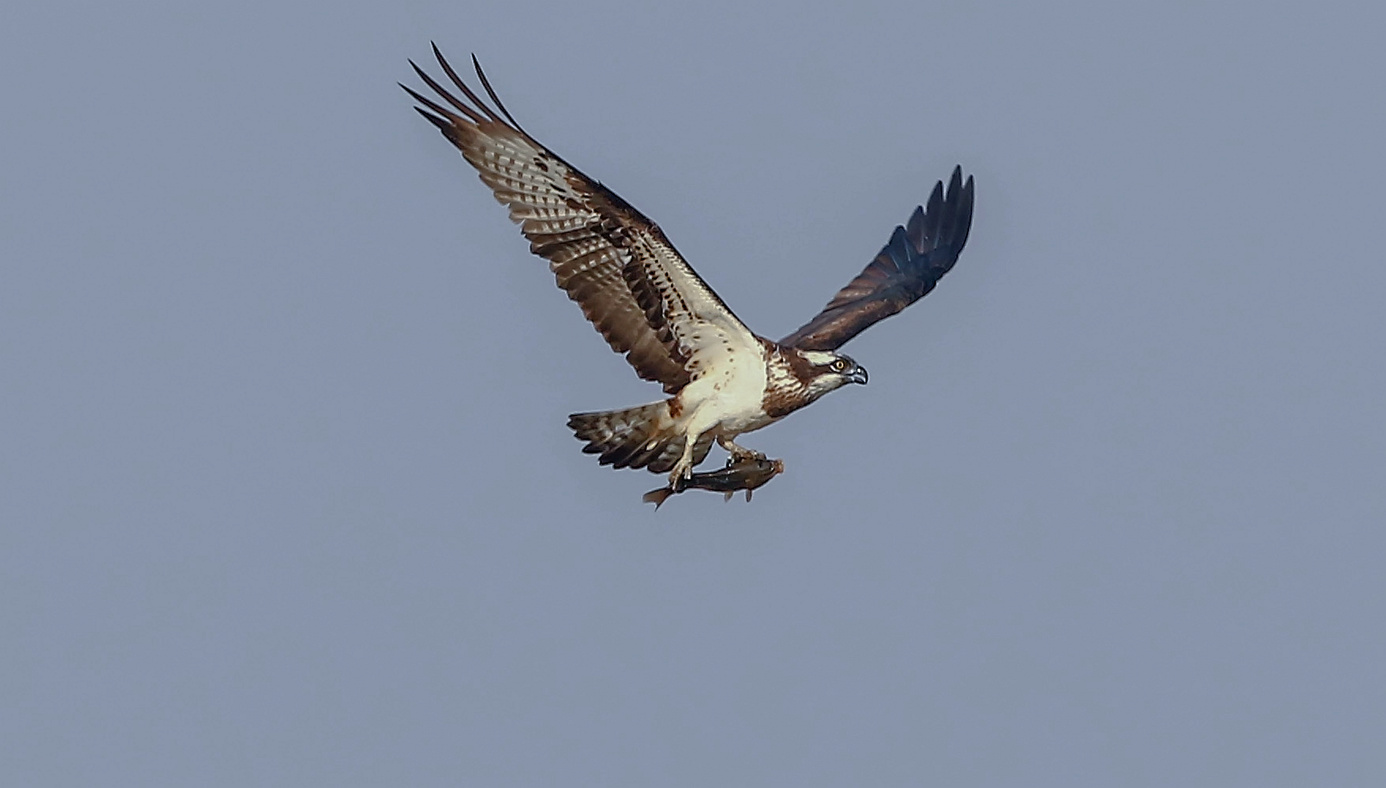 168A9050__.jpg